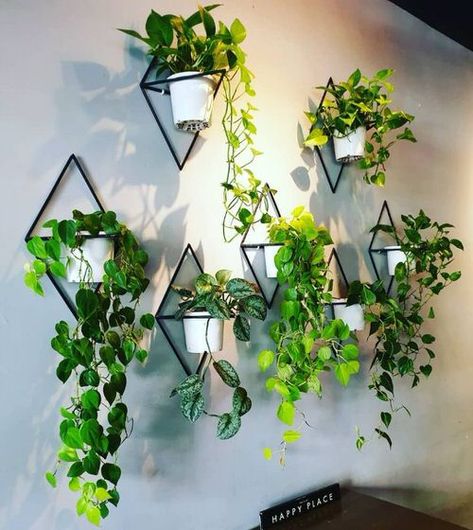 28 Artistic Plant Wall Art Ideas for Home Décor | Balcony Garden Web Wall Plants Indoor, Plant Display Ideas, Indoor Plant Wall, Wall Planters Indoor, Air Fresh, نباتات منزلية, Plant Wall Decor, Hanging Plants Indoor, Plant Decor Indoor