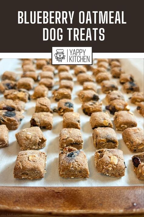 Dog Treats Homemade Blueberries, Dog Treats No Flour Grain Free, Blueberry Oatmeal Dog Treats, Rosemary Dog Treats, Non Perishable Dog Treats, Blueberry Dog Biscuits, Homemade Dog Treats With Blueberries, Blueberry Dog Treats Recipes, Soft Dog Treats For Older Dogs