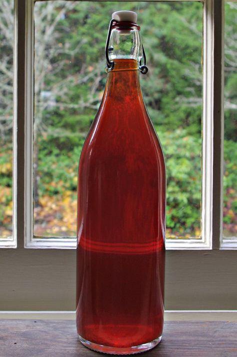 How to Make Your Own Plum Liqueur! plums, plum recipes, leftover plums, overripe plums, homemade plum wine, homemade plum liqueur, liquor, delicious, recipe, yum drink Homemade Plum Wine, Plum Alcohol Recipes, Plum Liquor Recipes, Mirabelle Plum Recipe, Plum Drink Recipe, Plum Liqueur Recipe, Plum Cordial Recipe, Plum Wine Recipe, Plum Vodka