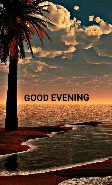 Have A Blessed Evening, Blessed Evening, Good Evening Love, Evening Images, Good Evening Messages, Good Evening Wishes, Good Evening Greetings, Evening Greetings, Journey To The West