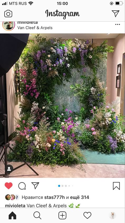 Secret Garden Backdrop, Dried Flower Wall Installation, Fantasy Ball, Bday Photoshoot, Photoshoot Backdrops, Enchanted Forest Wedding, Wedding Backdrop Design, Wedding Backdrop Decorations, Flower Installation