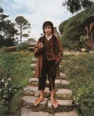 Hobbits Lotr, Lord Of Rings, Hobbit Houses, Hobbit Party, John Howe, Concerning Hobbits, Frodo Baggins, Elijah Wood, Bilbo Baggins