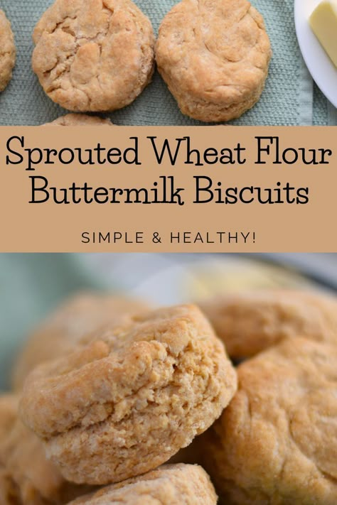 Sprouted Flour Recipes, Sprouted Wheat Recipes, Sprouted Whole Wheat Flour Recipes, Sprouted Flour Bread Recipe, Whole Wheat Buttermilk Biscuits, Muffins Whole Wheat Flour, Sprouted Whole Wheat Bread, Flour Biscuits, Whole Wheat Biscuits