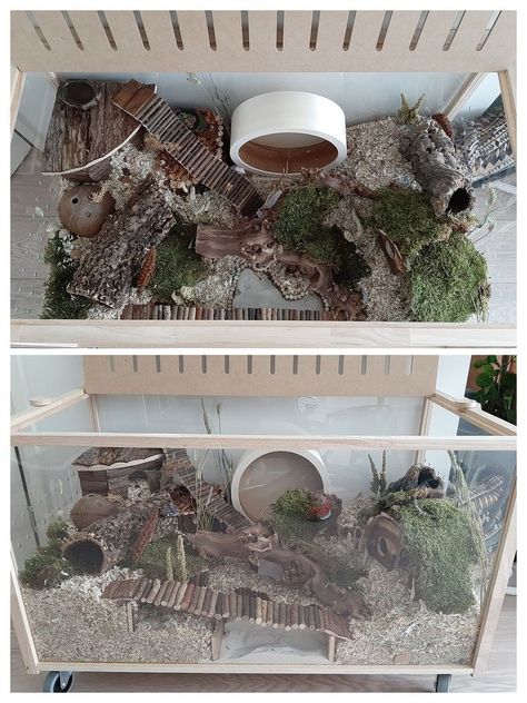 Pawhut Hamster Cage Set Up, Hamster Set Up, Gerbil Cage Ideas, Hamster Cage Setup, Hampster Cage, Diy Hamster Cage, Hamster Cage Ideas, Hamster Enclosure, Hamster Diy Cage