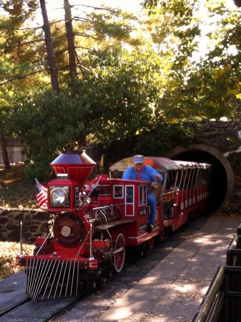 The train at the St. Louis Zoo.  I loved it as a kid! Zoo Pictures, St Louis Zoo, Steam Engine Trains, Steam Engine, The Train, Pattern Illustration, St Louis, Antique Cars, Steam