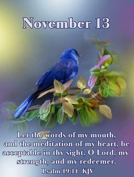 #Fr001 #November13 2019 #Psalm19v14 KJV #DailyBlessing www.facebook.com/groups/FriendsofJudiann November 13 Bible Verse, November 13 Quotes, November 13 Blessings, November Scripture, November Blessings, Psalms 19, December Scriptures, Psalm 19, Welcome November