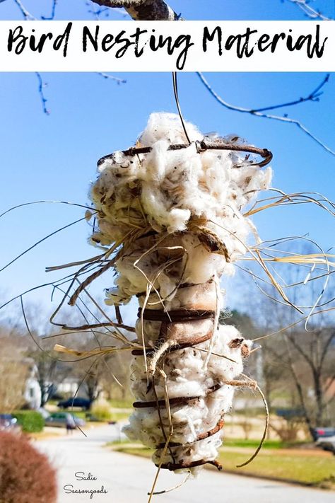 Upcycling a rusty old bed spring into a bird-friendly holder for all-natural nesting material! Plant fluff, dried grasses, pet fur that hasn't been treated for fleas, and cotton twine are PERFECT for filling it up. The birds will take what they need for their nests- I guess you could say this is a Bed Spring for a Spring Bed! Bird Nesting Material, Old Bed Springs, Bed Spring Crafts, Decor Upcycle, Junk Garden, Suet Feeder, Bed Spring, Spring Bed, Thrift Store Decor