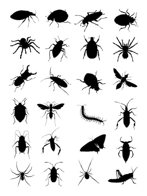 Premium Vector | Bugs silhouette Insect Outline, Bug Silhouette, Creepy Bugs, Bug Outline Drawing, Bug Clipart, Insect Silhouette, Bugs Silhouette, Bugs Clipart, Bug Vector