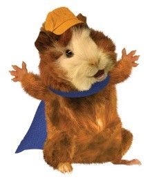 The Wonder Pets, Pfp Header, Wonder Pets, Orange Icons:), Png Aesthetic, Cartoon Wall, Black And White Aesthetic, Cute Stuffed Animals, Kids Shows