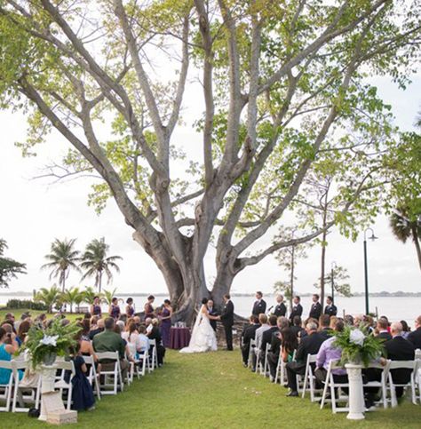 Fort Myers Wedding Venues, Wedding Locations Outdoor, Wedding Venue Locations, White Winter Wedding, Lee County, Florida Wedding Venues, Wedding Venue Inspiration, Fort Myers Florida, Southwest Florida