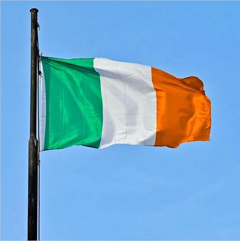 Flag Ireland, Flag Of Ireland, Colors Meaning, Ireland Country, Irish Travellers, Irish Eyes Are Smiling, Ireland Flag, Irish Flag, Irish Pride