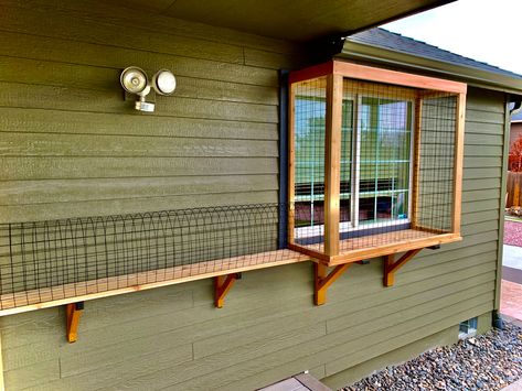 Small Outdoor Cat Enclosure, Small Cattery Ideas, Catio Ideas Porch, Cat Patio Window, Indoor Catio Cats, Cat Outside House, Catio Attached To House, Window Catio Ideas For Cats Outdoor, Easy Catio Plans