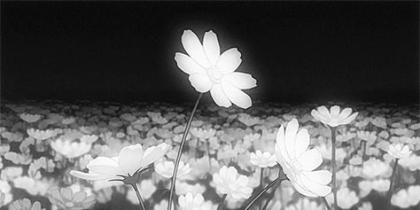 천사와 악마, Black And White Gif, Anime Flower, Gif Background, Animated Banners, Arte 8 Bits, Flowers Gif, Dark Flowers, Anime Gifs