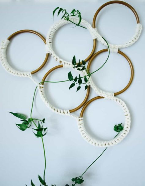 Growing jasmine indoors + macrame style trellis diy - Friendly NettleFriendly Nettle Growing Jasmine, Ivy Plant Indoor, Climbing Plants Trellis, Indoor Plant Trellis, Trellis Diy, Indoor Trellis, Plant Trellis, Outdoor Trellis, Trellis Ideas