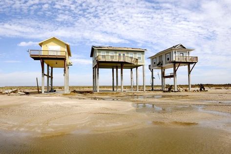 FOF Living: A house on stilts  Elevation and saftey Stilts House, Raised Houses, Houses On Stilts, Stilted House, Building Forms, House On Stilt, Stilt Home, Stilt House, Stilt Houses