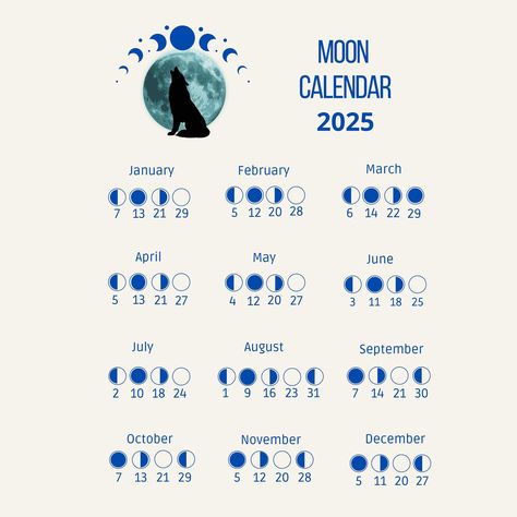 Moon Last Quarter, Bullet Journal Calendrier, Mystical Wolf, Magic Moon, Tarot Guide, Moon Calendar, Witchcraft Spell Books, Moon Cycles, Wolf Moon