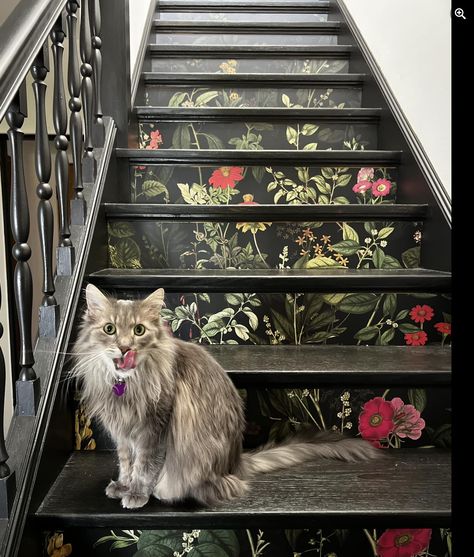 Maximalist Stairway Decor, Sloping Wall Decor, Entryway Floor Ideas, Cottagecore Stairs, Moody Staircase, Dark Staircase, Black Staircase, Wallpaper Stairs, Stairs Renovation