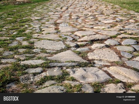 Cobblestone Path Drawing, Cobblestone Pavement, Cobbled Streets, Mossy Cobblestone, Italy Cobblestone Streets, Grass Background, Stepping Stones, Close Up, Light Box