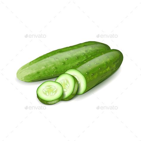 Cucumber and slice isolated on white photo-realistic vector illustration Zip file includes: - eps10, editable vector- high-resolu Vegetable Drawing, Food Sketch, Graphics Fairy, Food Illustration, Drawings Simple, Color Pencil Art, Color Pencil Drawing, Color Pencil, White Photo