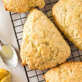 Lemon Poppy Seed Scones, Lemon Scones Recipe, Crumb Coffee Cakes, Lemon Treats, Lemon Poppyseed Bread, Shugary Sweets, Lemon Scones, Scones Recipe Easy, Lemon Poppyseed