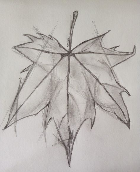 Pencil sketch Leaf Sketch, Leaves Sketch, Drawing Nature, Forest Drawing, Pencil Sketch Drawing, Sketch Ideas, Autumn Leaf, Sketch Drawing, Pencil Sketch