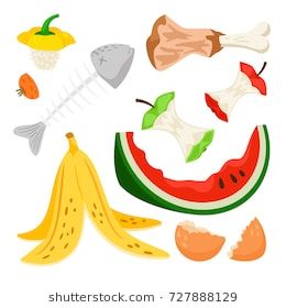 Organic waste, food compost collection isolated on white background. Banana and watermelon rind, fish bone and apple stump vector illustration Food Compost, Food Waste Project, Farm Animals Preschool, Compost Bin Diy, Garbage Waste, Recycling Activities, Daycare Decor, Organic Waste, Watermelon Rind