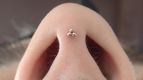 You're likely familiar with a lot of different nose piercings. However, you might not be quite as familiar with the septril piercing and what it involves. Different Nose Piercings, 3 Lobe Piercings, Piercings Nose, Stretched Septum, Bridge Piercing, Hurt Pain, Piercing Nose, Nose Piercings, Pin Up Tattoos