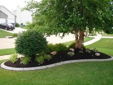 Add Curb Appeal with These Ideas! Front Landscape, Front Lawn Landscaping, Add Curb Appeal, Landscaping Around Trees, Front Yards Curb Appeal, Landscape Curbing, Small Front Yard Landscaping, Front Yard Landscaping Diy, Small Front Yard