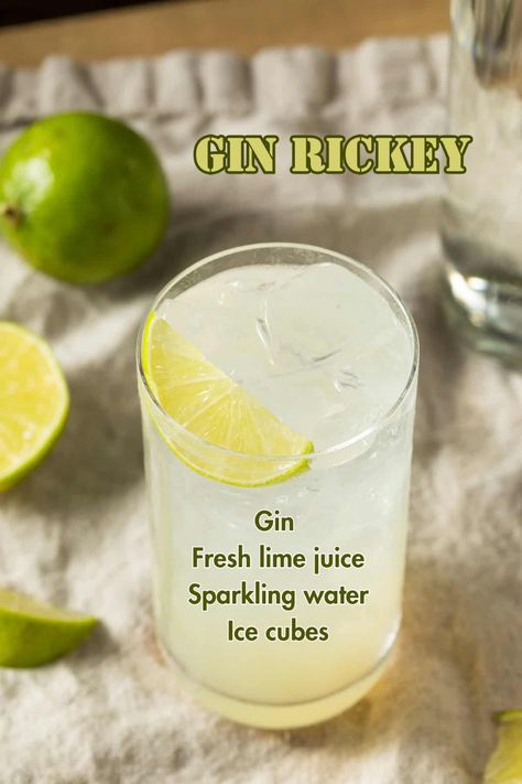 Glass of Gin Rickey cocktail with ice cubes, fresh lime slices, and bubbles. Gin Rickey Recipe, Vodka Soda Cocktails, Gin Rickey, Whiskey Soda, Gin Drink Recipes, Sugar Free Cocktails, Gin Recipes, Vodka Soda, Gin Drinks