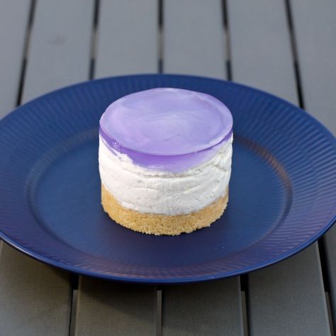 Lemon Lavender Cheesecake | SweetSourSavory Lavender Cheesecake, Lavender Jelly, Lavender Recipes, Mini Cheesecakes, Lemon Lavender, Dessert Cupcakes, Mini Desserts, Cheesecake Recipes, No Bake Desserts