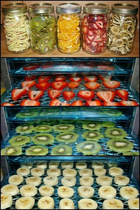 Dehydrated Fruits, Making Smoothies, Fruit And Veggies, Dry Food Storage, Dehydrated Fruit, Dehydrated Food, Dehydrator Recipes, Whole Foods Market, Canning Recipes