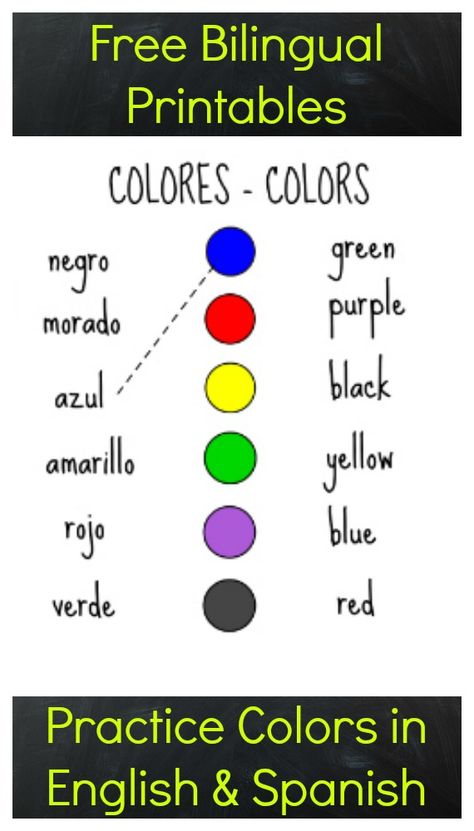 Free bilingual printables to practice colors in English and Spanish - matching sheets, practice writing colors in Spanish, color by number flowers! Color In Spanish, Colors In Spanish Free Printable, Colors In Spanish Worksheet, Bilingual Preschool Curriculum, Spanish Sight Words Kindergarten, Prek Bilingual Activities, Number Flowers, Colors Template, Writing Colors