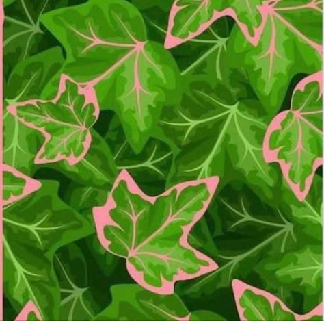 Alpha Kappa Alpha Sorority Gifts, Ivy Plant Indoor, Southern Belle Secrets, Sorority Art, Aka Sorority, Ivy Plants, Green Ivy, Alpha Kappa Alpha Sorority, Ivy Leaf