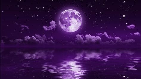 moon purple | Dark purple wallpaper, Purple aesthetic background, Dark purple aesthetic Blue Moon Aesthetic, Wallpaper Scenery, Purple Aesthetic Background, Dark Purple Background, Dark Purple Wallpaper, Wallpaper Landscape, Moon Aesthetic, Computer Wallpaper Desktop Wallpapers, Dark Purple Aesthetic