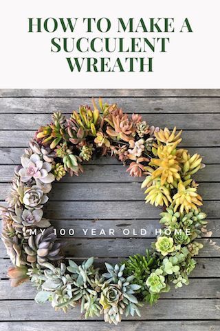 How to Make a Succulent Wreath | My 100 Year Old Home   Today I am sharing how to make a succulent wreath. I love this wreath and the ombre effect is exactly what I was hoping for and I am pleased to say this wreath looks just like this a year later. #succulentwreath #succulentwreaths #succulents #succulentsofinstagram #wreath #springdecor #succulentlover #wreathmaking #wreathmaker #springwreath #succulentart #succulentcuttings #my100yearoldhome Diy Succulent Wreath, Diy Dollar Tree Wreath, Succulent Wreaths, Succulent Wreath Diy, Diy Wreath Ideas, Dollar Tree Wreath, Christmas Crafts Sewing, 100 Year Old Home, Living Wreath