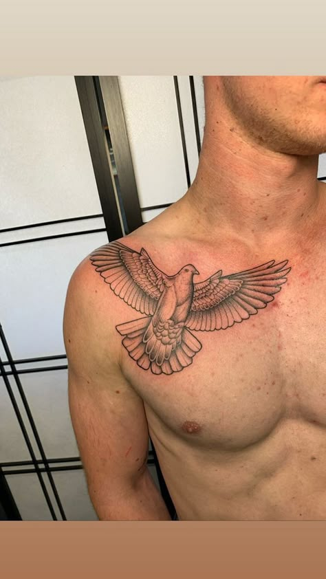 Men’s Peck Tattoos, Dove Tattoo Chest, Dove Chest Tattoo Men, Left Chest Tattoo Men, Pec Tattoo Men, Upper Chest Tattoo Men, Chest Tattoo Design For Men, Small Chest Tattoo Men, Chest Tattoo Man