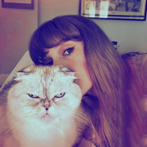 Taylor Swift Cat, Taylor Swift Fotos, Blondie Girl, Estilo Taylor Swift, Taylor Swift Album, Swift 3, Long Live Taylor Swift, Live Taylor, Taylor Swift 13