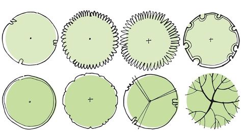 Tree Plan Photoshop, Steps Of Drawing, Tree Plan Png, Plant Symbol, Photoshop Texture, Garden Workshop, Paper Garden, Plant Texture, Landscape Design Drawings