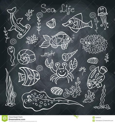 Crab Doodle, Mermaid Journal, Fish Outline, Funny Fish, Board Background, Drawn Fish, Classroom Makeover, Doodle Design, Quotes Pictures