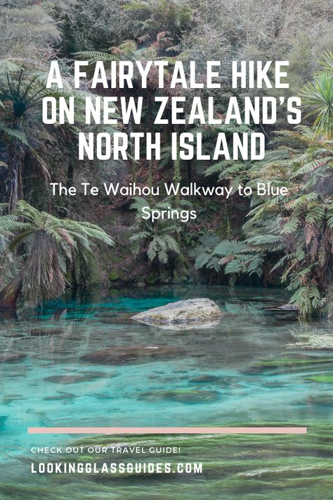 Travel New Zealand, New Zealand North Island Aesthetic, Things To Do In New Zealand North Island, Blue Springs New Zealand, New Zealand North Island, New Zealand Hot Springs, New Zealand Waterfalls, Blue Spring New Zealand, North Island New Zealand Itinerary