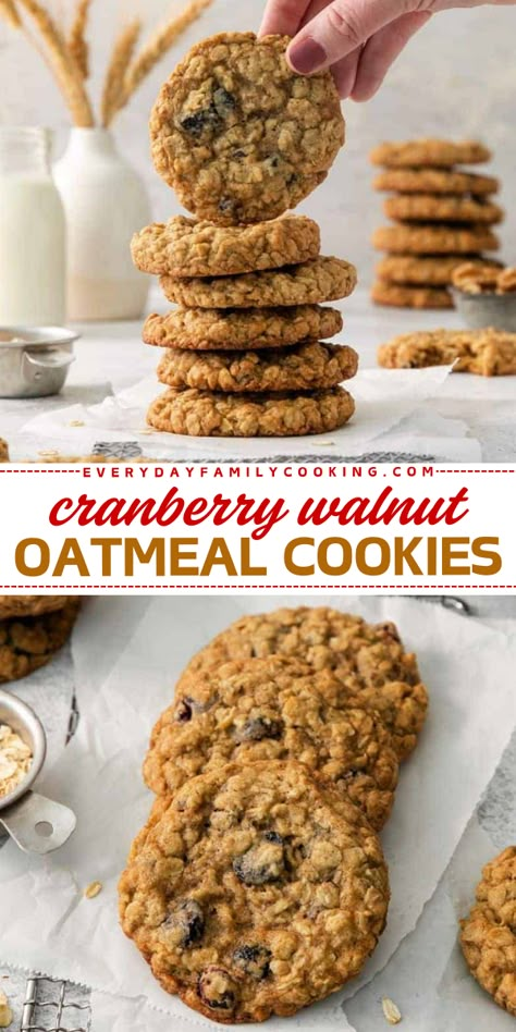 There's so much to love about these Cranberry Walnut Oatmeal Cookies! This holiday baking recipe is ready under 30 minutes. Not only are these easy Christmas cookies deliciously soft and chewy, but they are also healthy! Save this Christmas dessert idea! Cranberry Walnut Oatmeal Cookies Recipe, Everything Oatmeal Cookies, Oatmeal Walnut Cranberry Cookies, Oatmeal Date Cookies Recipes, Recipes Using Walnuts Baking, Cranberry Oatmeal Cookies Recipes, Christmas Oatmeal Cookies, Oatmeal Christmas Cookies, Oatmeal Cranberry Walnut Cookies