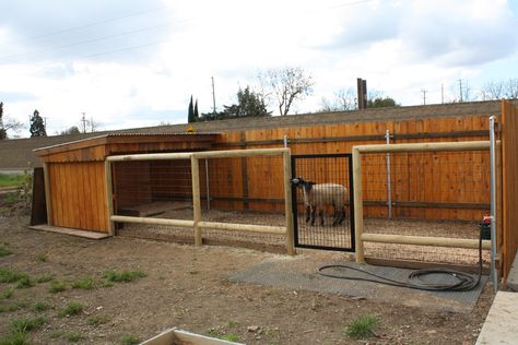 Yeah for me my husband loved this look and now I get new pens for my Angora goats. Putting a sliding barn door on the house for nighttime safety. Goat Pen Ideas, Sheep Shelter, Raising Livestock, Sheep House, Sheep Pen, Livestock Shelter, Goat Shelter, Goat Pen, Pet Pig