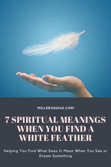 7 Spiritual Meanings When You Find a White Feather Seeing Feathers Meaning, White Feather Spiritual Meaning, Finding A White Feather Meaning, Finding Feathers Meaning, Feather Spiritual Meaning, White Feather Meaning, Finding Feathers, Feather Symbolism, Feather Meaning