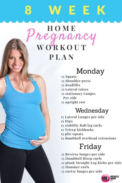 8 Week Home Pregnancy Workout Plan. All exercises safe and using body weight or dumbbells.  http://michellemariefit.com/monthly-home-pregnancy-workout/ Pregnant Workout, Pregnancy Workout Plan, Plie Squats, Tricep Kickback, Fit Pregnancy, Baby Workout, Prenatal Workout, Black Fitness, Pregnant Diet