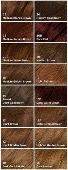 Golden Brown Copper Hair, Medium Golden Copper Hair Color, Chesnutt Brown Color Hair Straight, Medium Bronze Brown Hair, Dark Bronze Hair, Global Brown Hair Colour, Light Brown Copper Hair Color, Brown Global Hair Color, Rambut Golden Brown