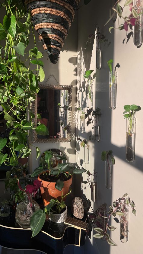 If you’ve been scrolling through Pinterest or Instagram, you’ve likely come across stunning DIY propagation walls trending in home offices. These gorgeous displays of plants grown from cuttings, often housed in sleek glass vials or containers, are a chic and eco-friendly way to bring greenery indoors. A propagation wall not only adds natural beauty to your workspace but also offers a creative, sustainable decor solution. Diy Propagation Wall, Diy Propagation, Propagation Wall, Wall Trends, Plants Wall, Sustainable Decor, Glass Vials, Home Offices, Plant Wall