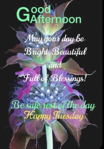 Good Afternoon Tuesday Blessings, Happy Afternoon Quotes, Tuesday Afternoon Blessings, Good Afternoon Tuesday, Good Afternoon In Spanish, Good Afternoon Blessings, Good Morning Saturday Wishes, Afternoon Blessings, Sister Bond Quotes