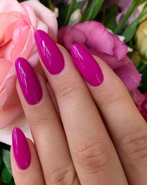 Fuchsia Nail Color, Fuchsia Nails Ideas, Pink Magenta Nails, Magenta Gel Nails, Fuschia Nails Acrylic, Fuscia Nails Design, Fushia Nail Color, Purple Oval Nails, Magenta Pink Nails