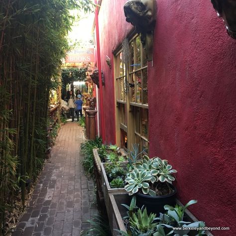 passageway to The Secret Garden shop in Carmel, California; https://weekendadventuresupdate.blogspot.com/2018/02/1-south-carmel-unique-specialty-shops.html Alternative Living, Carmel California, Carmel Ca, The Secret Garden, Wedding Location, California Dreamin', Garden Shop, Secret Garden, The Secret