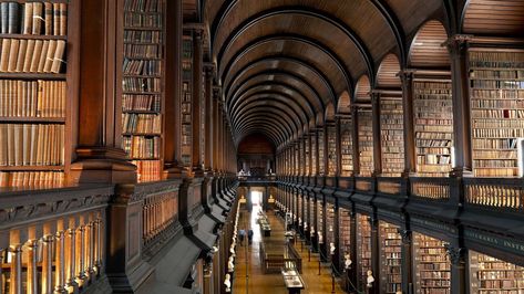 Must Read Classics, Trinity College Library, Trinity College Dublin, Old Libraries, Beautiful Library, Old Library, College Library, Book Of Kells, Trinity College